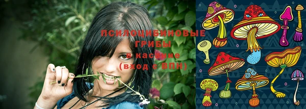 прущий лед Магадан
